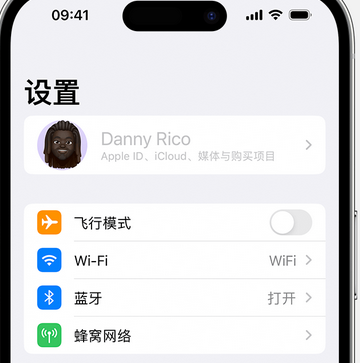 任县appleID维修服务iPhone设置中Apple ID显示为灰色无法使用