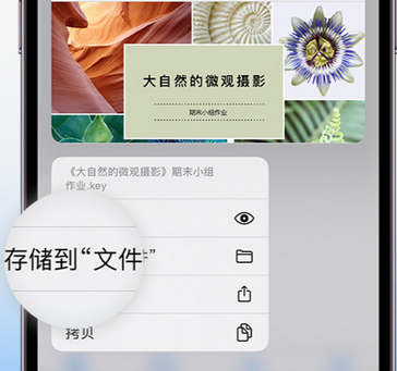 任县apple维修中心分享iPhone文件应用中存储和找到下载文件