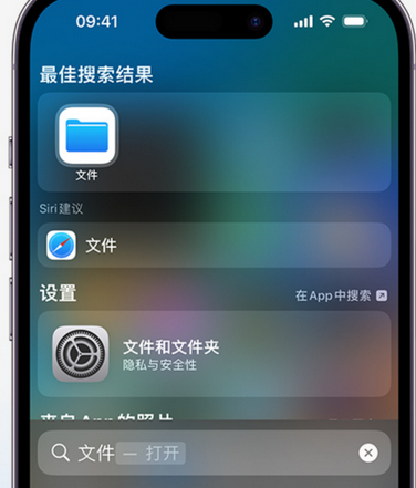 任县apple维修中心分享iPhone文件应用中存储和找到下载文件 