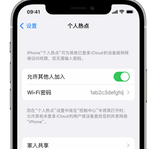 任县apple服务站点分享iPhone上个人热点丢失了怎么办