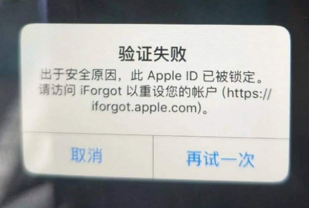 任县iPhone维修分享iPhone上正常登录或使用AppleID怎么办 