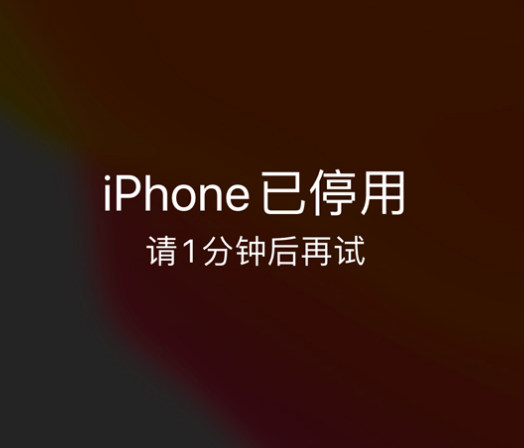 任县苹果手机维修分享:iPhone 显示“不可用”或“已停用”怎么办？还能保留数据吗？ 