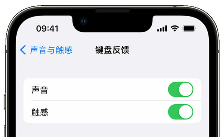 任县苹果手机维修分享iPhone 14触感键盘使用方法 