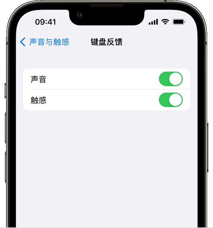 任县苹果14维修店分享如何在 iPhone 14 机型中使用触感键盘 