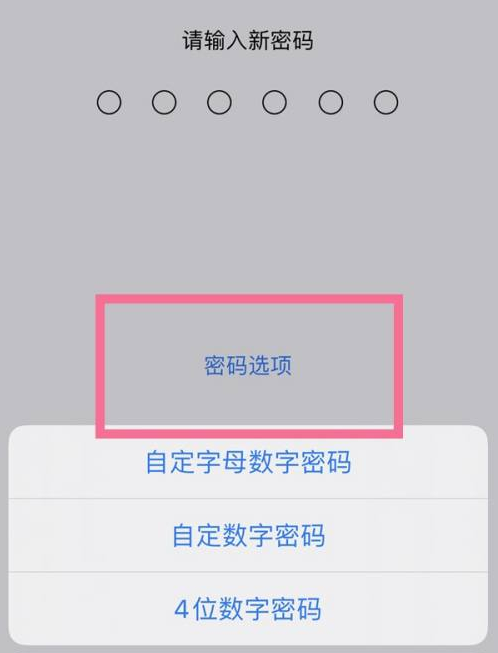 任县苹果14维修分享iPhone 14plus设置密码的方法 