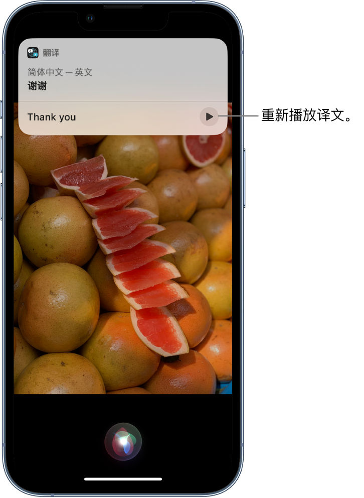 任县苹果14维修分享 iPhone 14 机型中使用 Siri：了解 Siri 能帮你做什么 