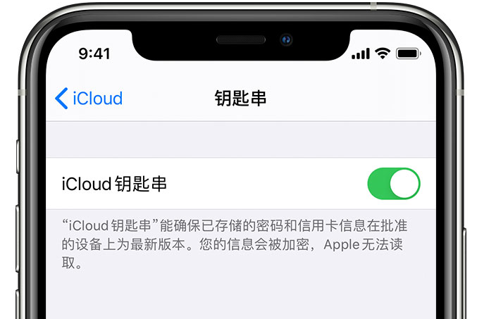 任县苹果手机维修分享在 iPhone 上开启 iCloud 钥匙串之后会储存哪些信息 