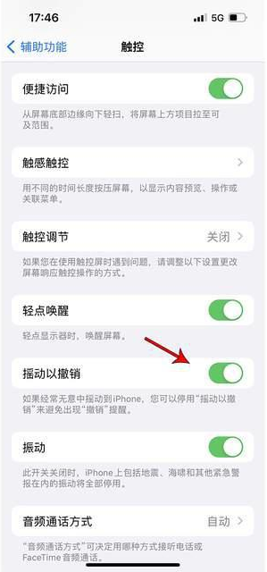 任县苹果手机维修分享iPhone手机如何设置摇一摇删除文字 