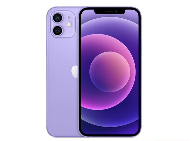 任县苹果手机维修分享现阶段要不要入手紫色版iPhone12 
