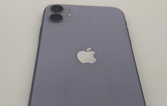 任县苹果11系统维修分享iPhone11手机系统崩溃无法开机如何解决 